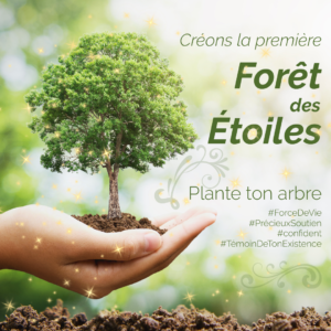 Lire la suite à propos de l’article Créons la première Forêt des Étoiles !