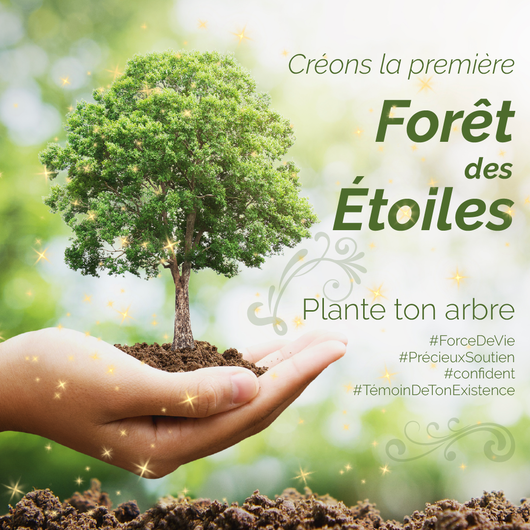 You are currently viewing Créons la première Forêt des Étoiles !
