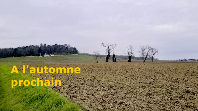 Lire la suite à propos de l’article Inauguration de la Forêt des Étoiles à Chenay, près de Reims.