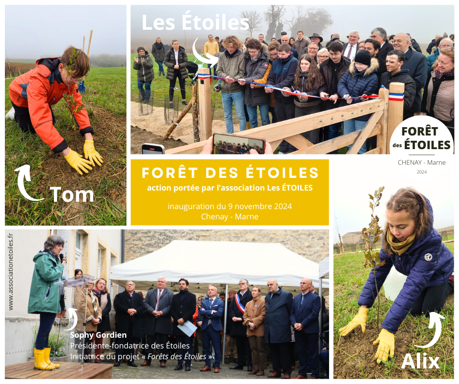 You are currently viewing Des Étoiles et des Arbres