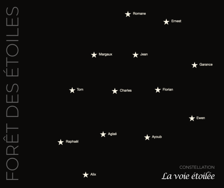 Lire la suite à propos de l’article La Voie Étoilée s’illumine à Chenay, dans la Marne