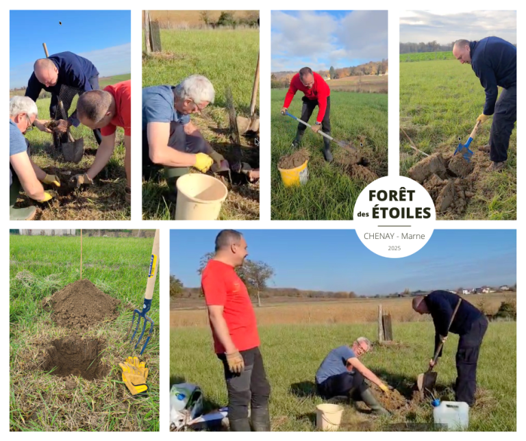 Lire la suite à propos de l’article Première plantation d’automne dans la Forêt des Étoiles à Chenay