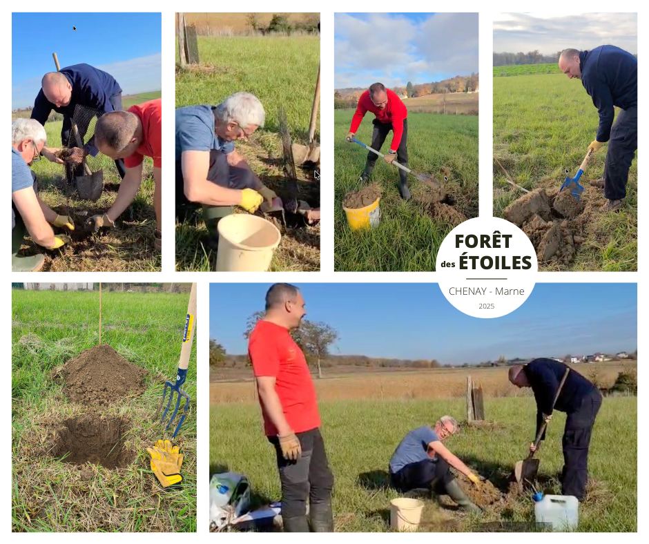 You are currently viewing Première plantation d’automne dans la Forêt des Étoiles à Chenay