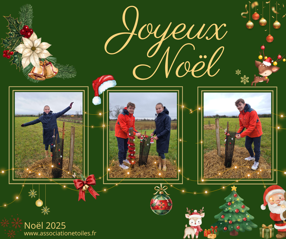 You are currently viewing Noël dans la Forêt des Étoiles