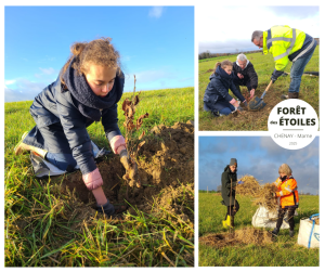 Lire la suite à propos de l’article Deuxième session de plantation dans la Forêt des Étoiles