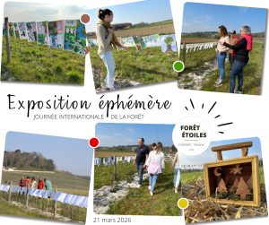 Lire la suite à propos de l’article Première exposition éphémère au coeur de la Forêt des Étoiles