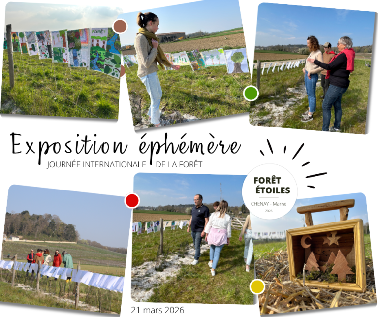 Lire la suite à propos de l’article Première exposition éphémère au coeur de la Forêt des Étoiles