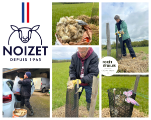 Lire la suite à propos de l’article De la toison à la forêt : la ferme Noizet tisse un lien avec les Étoiles