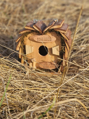 36
